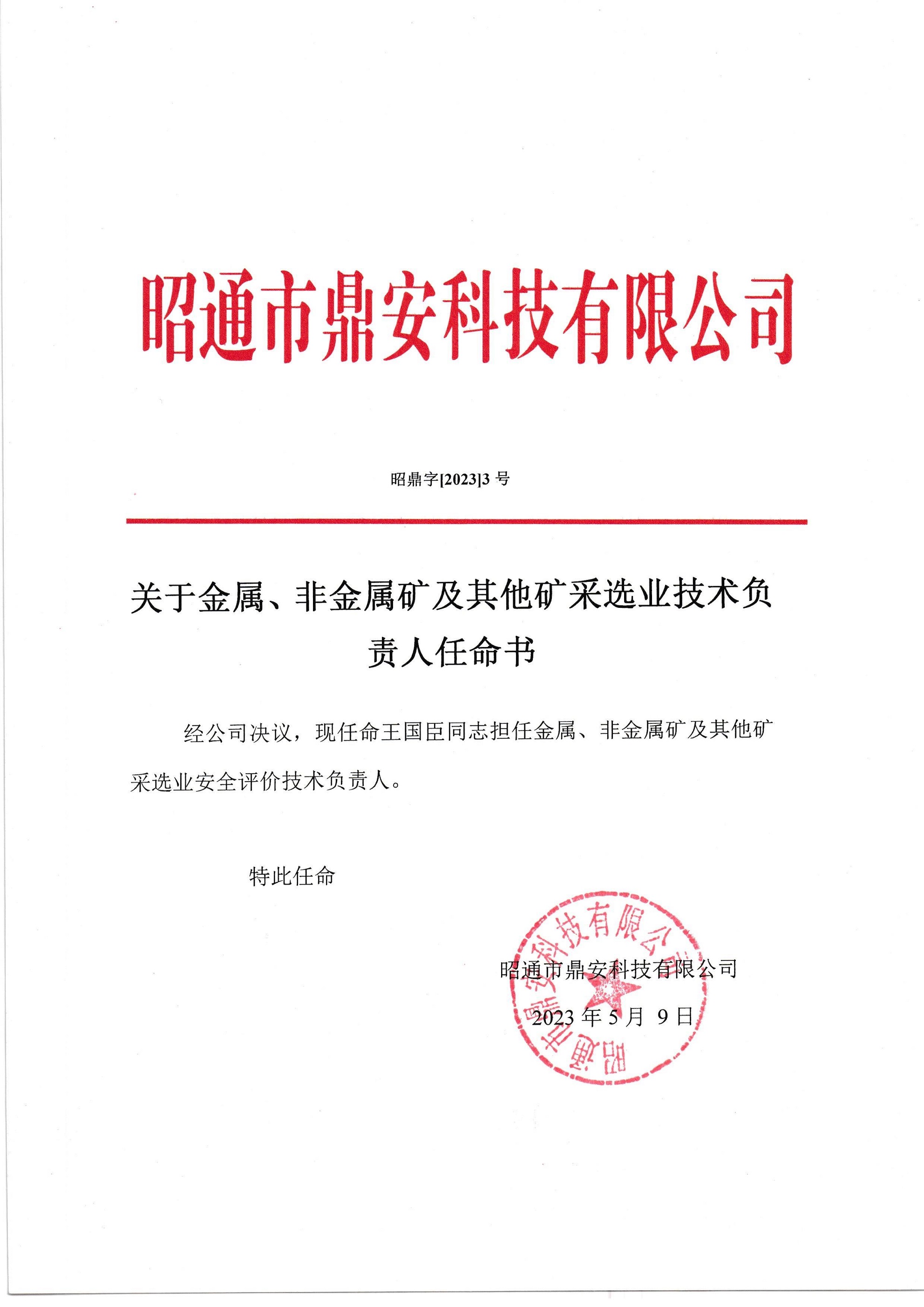 關(guān)于金屬、非金屬礦及其他礦采選業(yè)技術(shù)負(fù)責(zé)人任命書-王國臣_2.jpg
